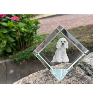 Poodle - crystal cube with a photo, photo of a horse in crystal, cubic paperweight from Art-Dog brand