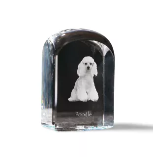Pudel - Kristallwürfel mit Bild, Hundebild im Kristall, sechseckiger Papierclip von Art-Dog.