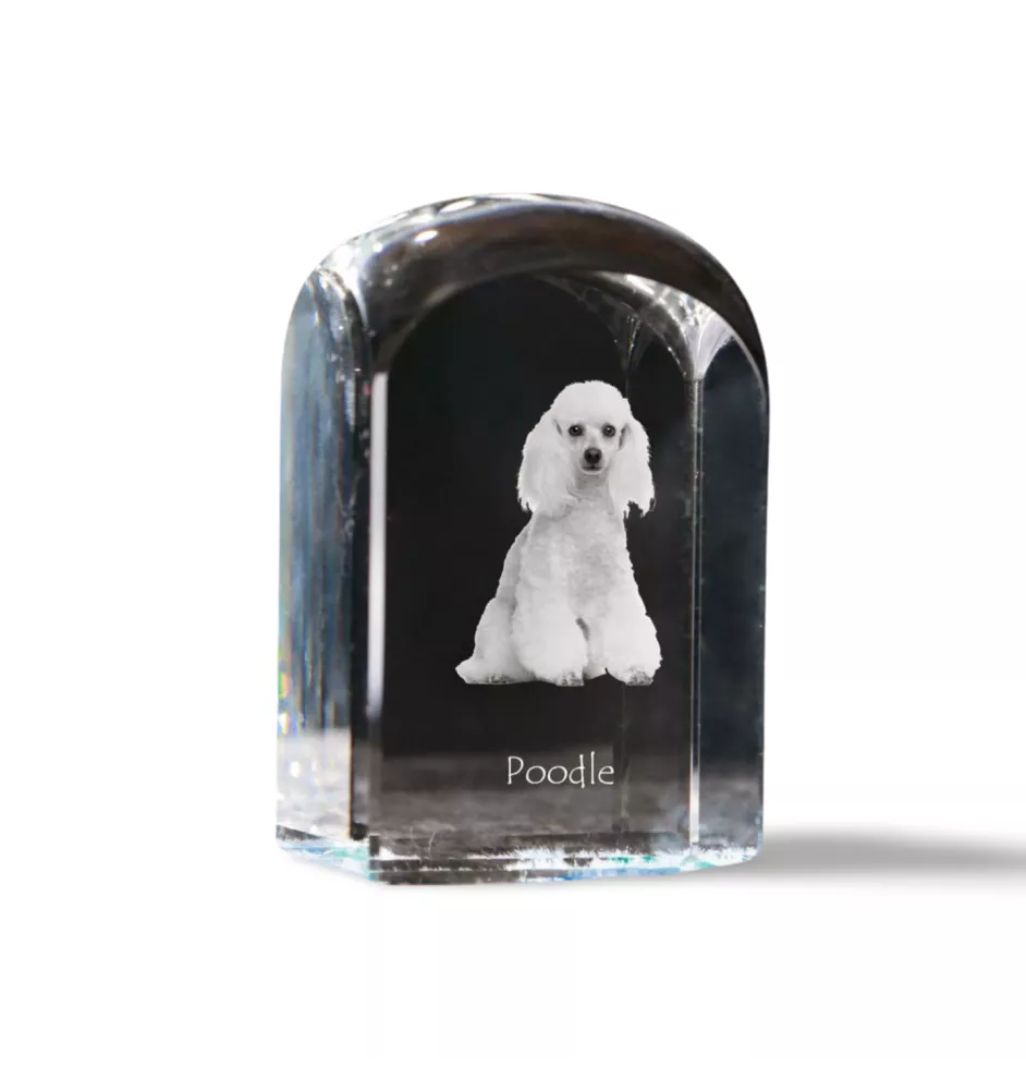 Caniche - un cube de cristal avec une photo, une photo de chien dans le cristal, un presse-papiers cubique de la marque Art-Dog