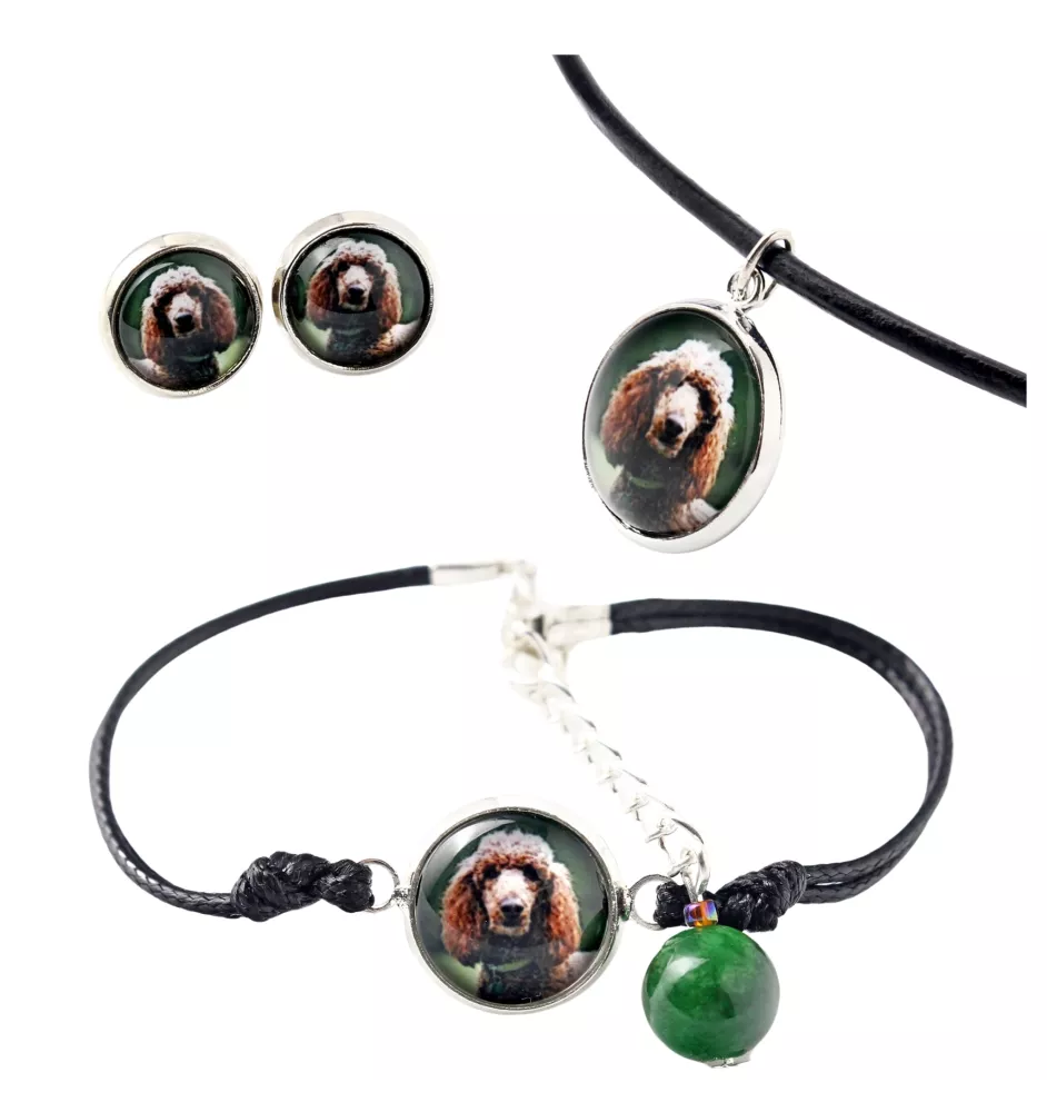 Caniche - ensemble de bijoux dans une boîte, collier, boucles d'oreilles, bracelet, produits de la marque Art-Dog