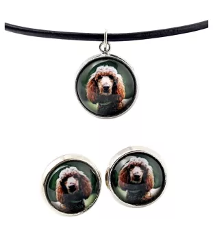 Caniche - boîte à bijoux avec votre photo, ensemble collier et boucles d'oreilles, produits personnalisés de la marque Art-Dog