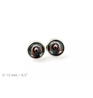 Caniche - boucles d'oreilles dans une boîte, votre photo, bijoux faits à la main, produit de la marque Art-Dog.