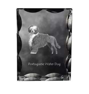 Portuguese Water Dog, Portie, PWD, Water Dog - crystal with a picture of a dog, glass statuette with a picture, unique frame with a picture from Art-Dog brand