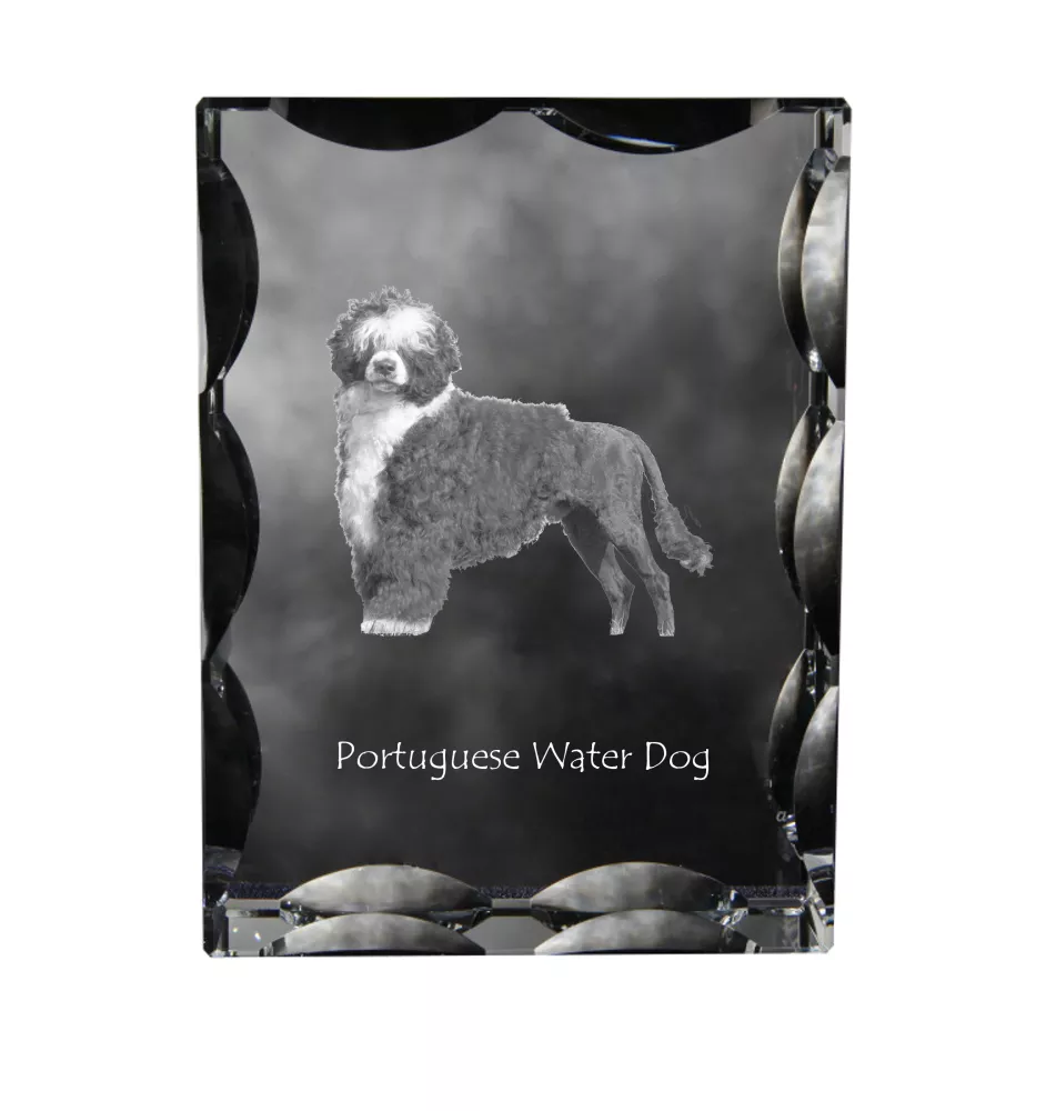 Chien d'eau portugais - cristal avec photo de chien, statuette en verre avec photo, cadre exceptionnel avec photo de la marque Art-Dog