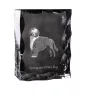 Portuguese Water Dog, Portie, PWD, Water Dog - crystal with a picture of a dog, glass statuette with a picture, unique frame with a picture from Art-Dog brand