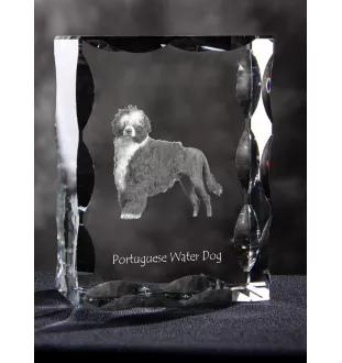 Portuguese Water Dog, Portie, PWD, Water Dog - crystal with a picture of a dog, glass statuette with a picture, unique frame with a picture from Art-Dog brand