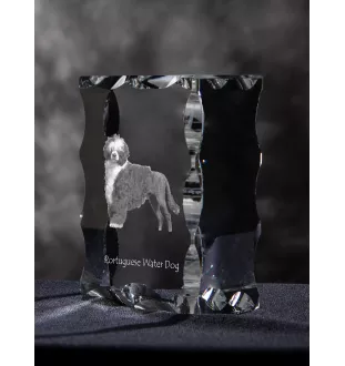 Portuguese Water Dog, Portie, PWD, Water Dog - crystal with a picture of a dog, glass statuette with a picture, unique frame with a picture from Art-Dog brand