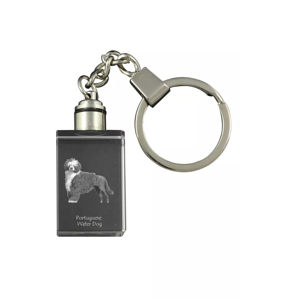 Portuguese Water Dog, Portie, PWD, Water Dog - Crystal key ring with dog photo, illuminated key ring, unique gift by Art-Dog brand