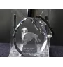 Portugiesischer Wasserhund - Anhänger mit einem Foto eines Hundes, Schlüsselanhänger aus Kristall in einer Geschenkbox, ein einzigartiges Geschenk von Art-Dog