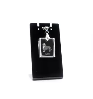 Chien d'eau portugais - Pendentif chien en cristal, collier photo, bijoux uniques par Art-Dog