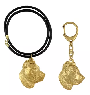 Presa Canario, Dogue des Canaries, Dogo canario - porte-clés et collier avec chien dans une boîte, produit plaqué or de haute qualité, marque Art-Dog