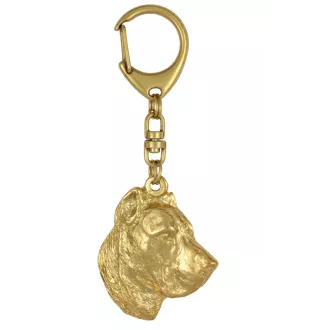 Presa Canario, Dogo Canario, Canary Mastiff - keychain and necklace with a dog in a box, high-quality gold-plated product, Art-Dog brand