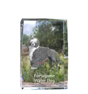 Portugalski pies dowodny kryształ z psem Art-Dog