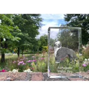 Portuguese Water Dog, Portie, PWD, Water Dog - crystal with a picture of a dog, photo in glass, modern exhibition of Art-Dog brand photo