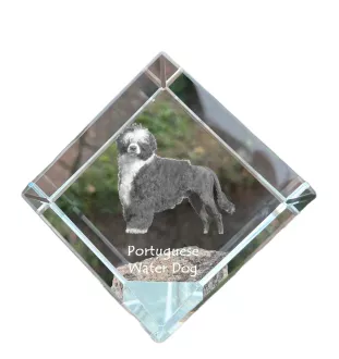 Chien d'eau portugais - un cube de cristal avec une photo, une photo de cheval dans le cristal, un presse-papiers cubique de la marque Art-Dog