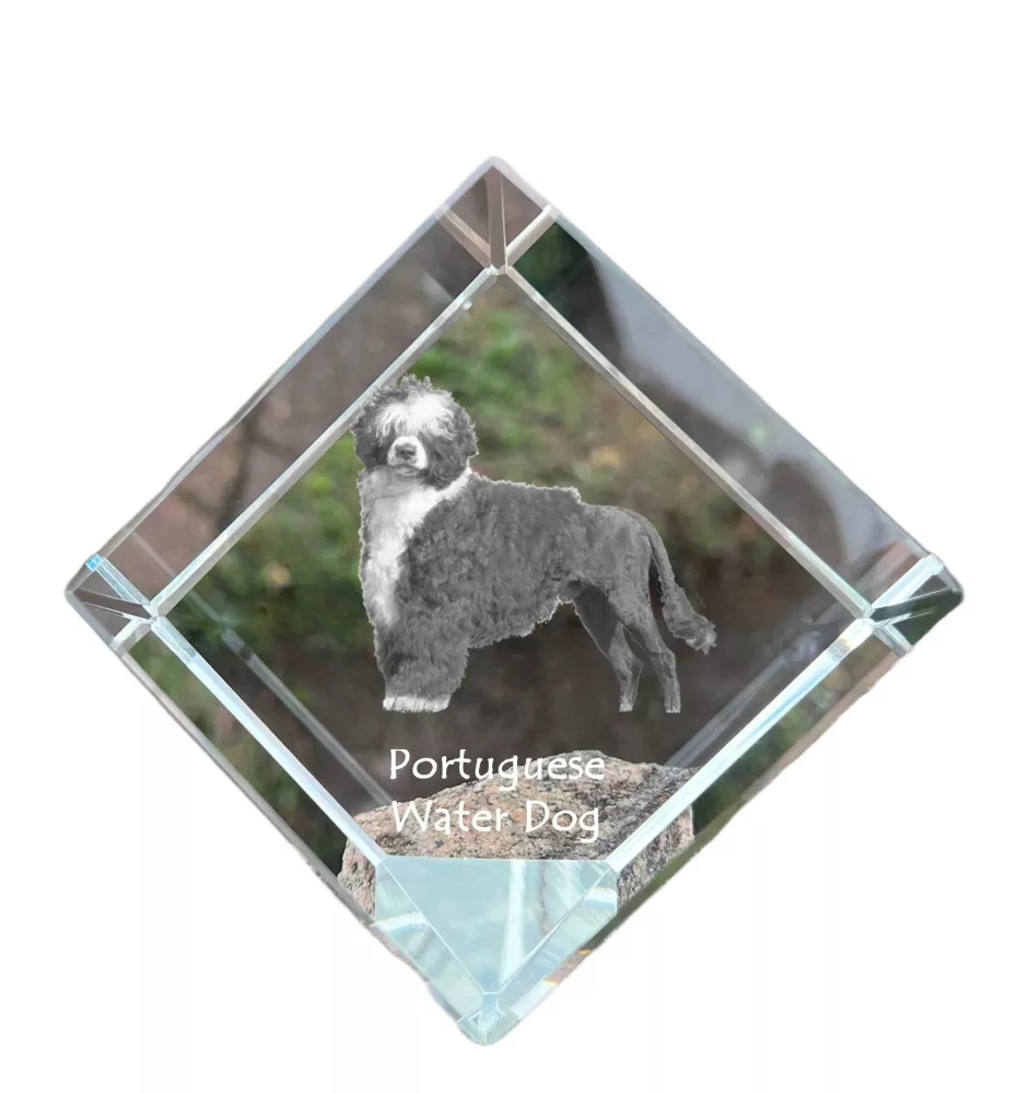 Portuguese Water Dog, Portie, PWD, Water Dog - crystal cube with a photo, photo of a horse in crystal, cubic paperweight from Art-Dog brand