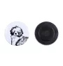 Portuguese Water Dog, Portie, PWD, Water Dog - magnet with a dog's pupil, exceptionally light, strong magnet, handmade product by the Art-Dog brand