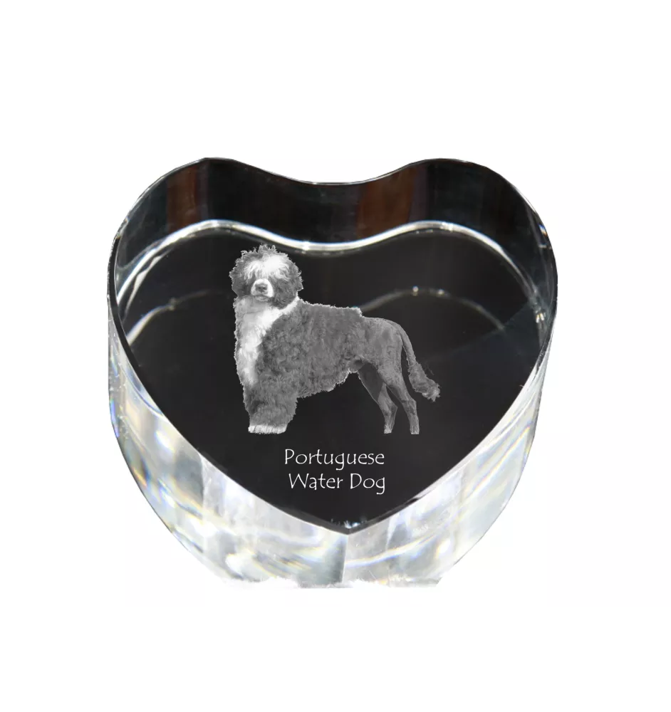 Chien d'eau portugais - une photo de chien dans un cristal, un cœur en cristal, un cadre photo exceptionnel de la marque Art-Dog