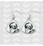 Chien d'eau portugais - boucles d'oreilles avec chien, boucles d'oreilles pendantes avec photo, bijoux personnalisés avec impression de la marque Art-Dog