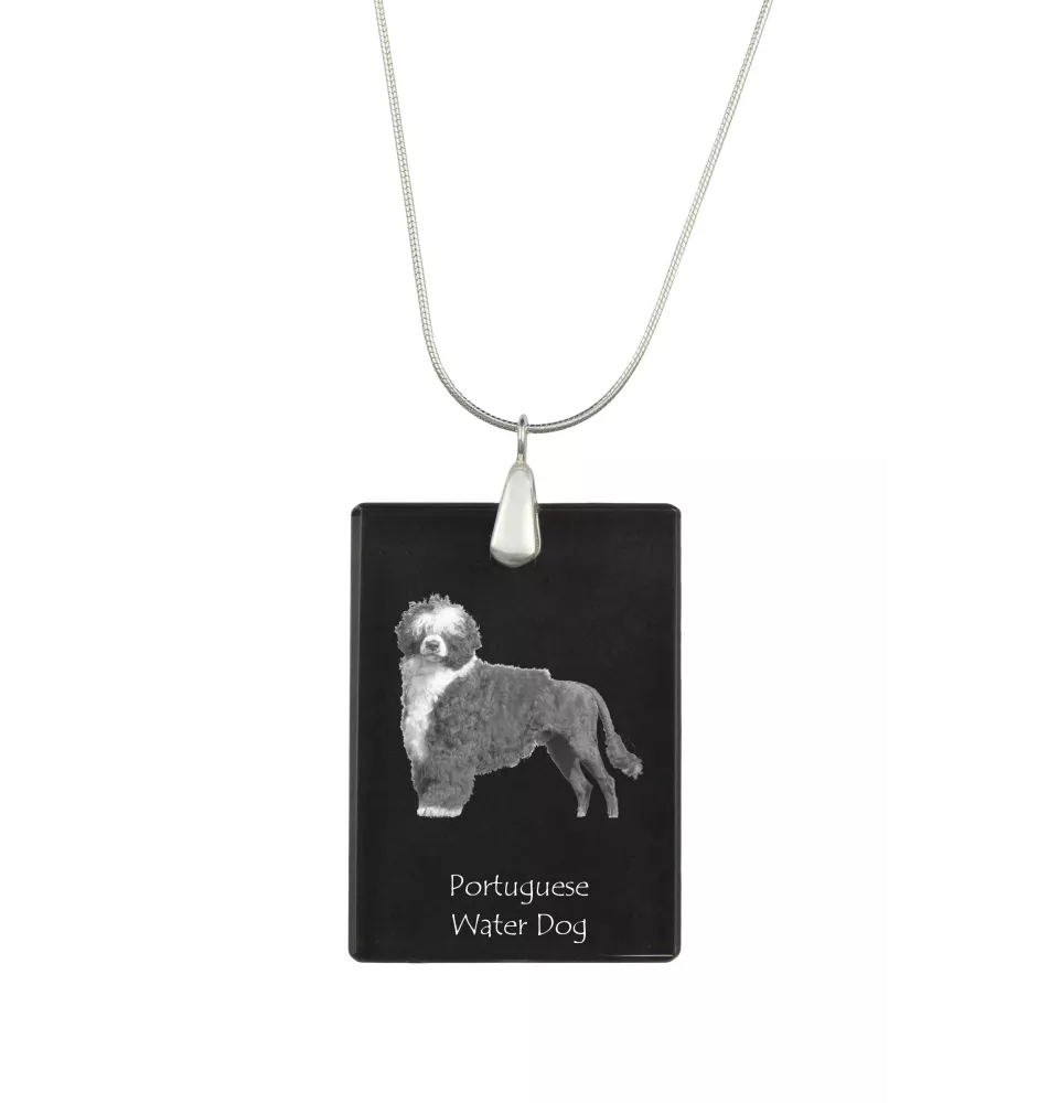 Portuguese Water Dog, Portie, PWD, Water Dog - Crystal pendant with dog, silver necklace with photo, personalised pendant by Art-Dog brand
