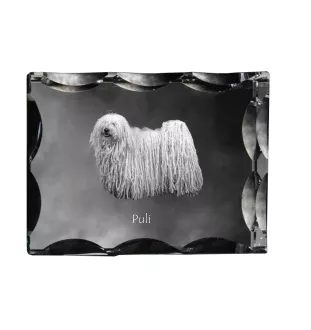 Puli - Kristall mit einem Hundebild, Glasstatuette mit einem Bild, einzigartiger Bilderrahmen der Marke Art-Dog
