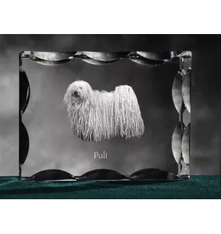 Puli ramka kryształowa z psem Art-Dog