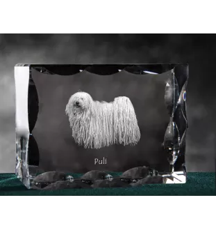 Puli, Hungarian Water Dog - crystal with a picture of a dog, glass statuette with a picture, unique frame with a picture from Art-Dog brand