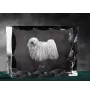 Puli - Kristall mit einem Hundebild, Glasstatuette mit einem Bild, einzigartiger Bilderrahmen der Marke Art-Dog