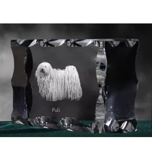 Puli, Hungarian Water Dog - crystal with a picture of a dog, glass statuette with a picture, unique frame with a picture from Art-Dog brand