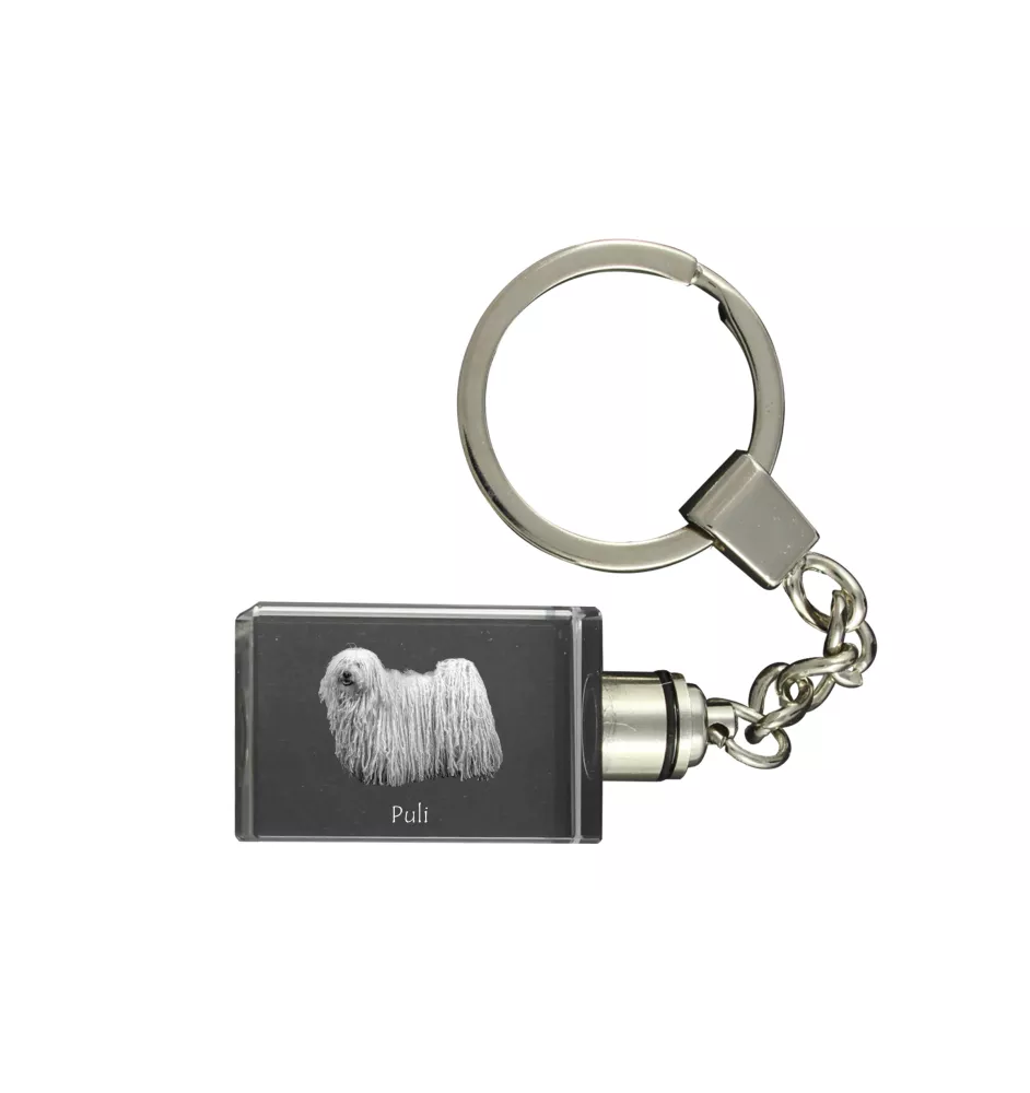 Puli - Schlüsselanhänger aus Kristall mit Hundefoto, beleuchteter Schlüsselanhänger, einzigartiges Geschenk der Marke Art-Dog