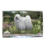 Puli, Puli Hongrois - cristal avec une photo de chien, photo sous verre, exposition moderne de la marque de photos Art-Dog