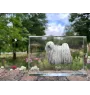 Puli - Kristall mit einem Hundebild, Bild im Glas, moderne Ausstellung des Art-Dog-Bildes.