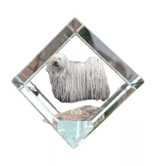 Puli - Kristallwürfel mit Bild, Pferdebild im Kristall, sechseckiger Papierclip der Marke Art-Dog