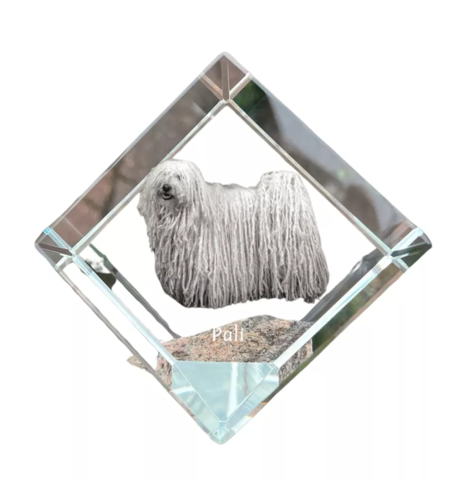 Puli - Kristallwürfel mit Bild, Pferdebild im Kristall, sechseckiger Papierclip der Marke Art-Dog