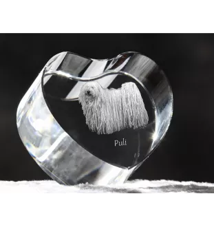 Puli, Hungarian Water Dog - a photo of a dog in crystal, crystal heart, unique photo frame from the Art-Dog brand