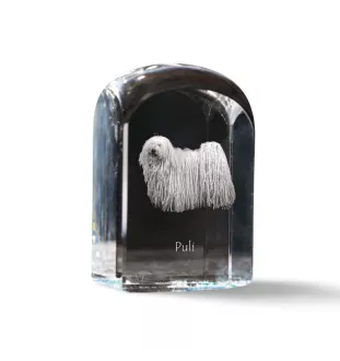 Puli, Hungarian Water Dog - crystal cube with a photo, photo of a dog in crystal, cubic paperweight from Art-Dog brand
