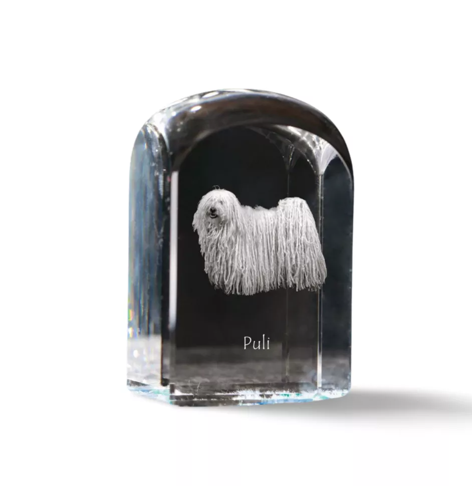 Puli, Hungarian Water Dog - crystal cube with a photo, photo of a dog in crystal, cubic paperweight from Art-Dog brand