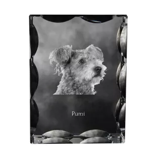Pumi - cristal avec photo de chien, statuette en verre avec photo, cadre exceptionnel avec photo de la marque Art-Dog