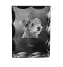 Pumi, Hungarian Pumi, Hungarian herding terrier - crystal with a picture of a dog, glass statuette with a picture, unique frame with a picture from Art-Dog brand