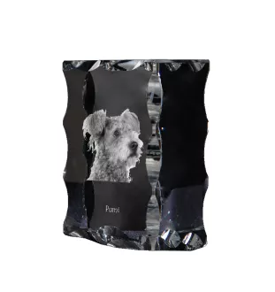 Pumi, Hungarian Pumi, Hungarian herding terrier - crystal with a picture of a dog, glass statuette with a picture, unique frame with a picture from Art-Dog brand