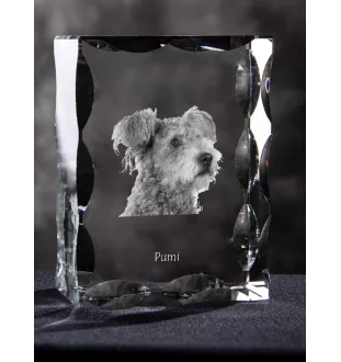 Pumi, Hungarian Pumi, Hungarian herding terrier - crystal with a picture of a dog, glass statuette with a picture, unique frame with a picture from Art-Dog brand
