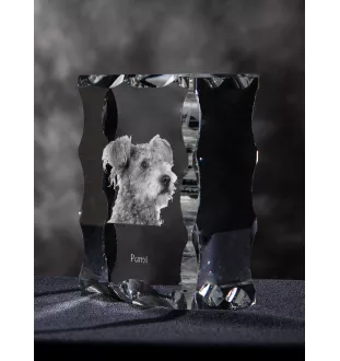 Pumi - cristal avec photo de chien, statuette en verre avec photo, cadre exceptionnel avec photo de la marque Art-Dog