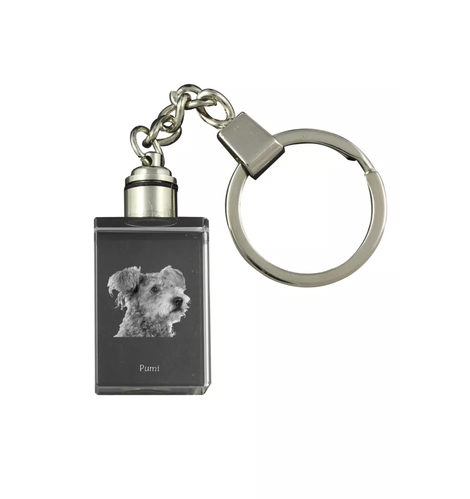 Pumi - Schlüsselanhänger aus Kristall mit Hundefoto, beleuchteter Schlüsselanhänger, einzigartiges Geschenk der Marke Art-Dog