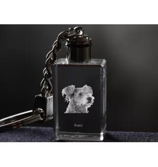 Pumi - Schlüsselanhänger aus Kristall mit Hundefoto, beleuchteter Schlüsselanhänger, einzigartiges Geschenk der Marke Art-Dog
