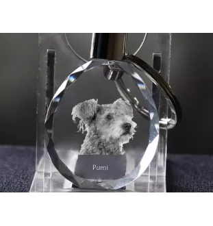 Pumi - pendentif avec une photo de chien, porte-clés en cristal dans une boîte cadeau, un cadeau unique par Art-Dog