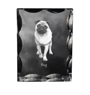 Carlin, Pug, Mops - cristal avec photo de chien, statuette en verre avec photo, cadre exceptionnel avec photo de la marque Art-Dog