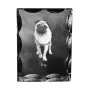 Carlin, Pug, Mops - cristal avec photo de chien, statuette en verre avec photo, cadre exceptionnel avec photo de la marque Art-Dog