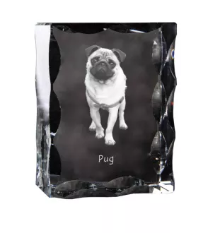 Carlin, Pug, Mops - cristal avec photo de chien, statuette en verre avec photo, cadre exceptionnel avec photo de la marque Art-Dog