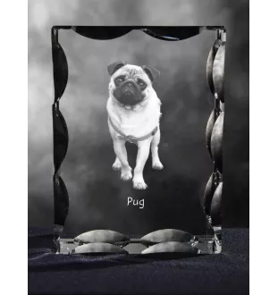 Pug - crystal with a picture of a dog, glass statuette with a picture, unique frame with a picture from Art-Dog brand