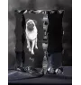 Pug - crystal with a picture of a dog, glass statuette with a picture, unique frame with a picture from Art-Dog brand